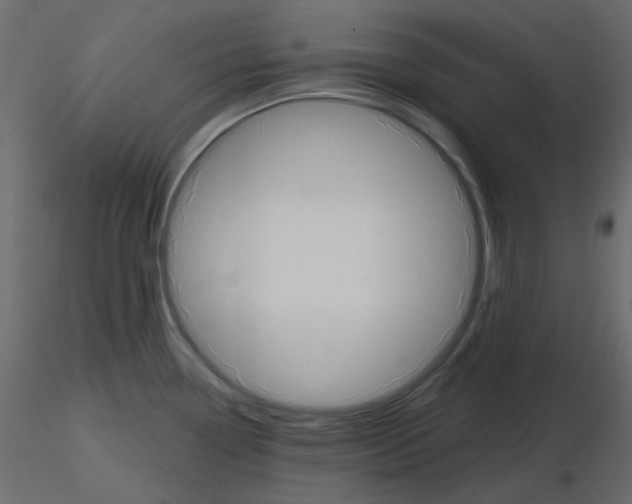 X0000115691338200912241453