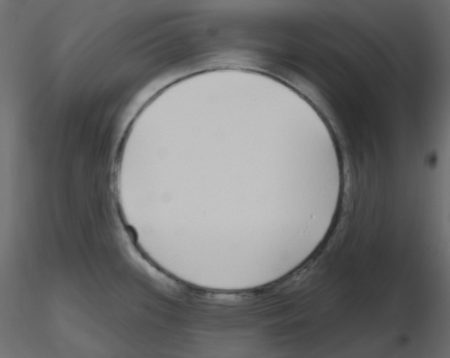 X0000115691339200912241453