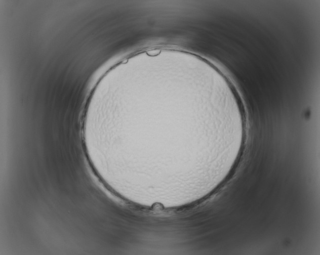 X0000115691341200912241453
