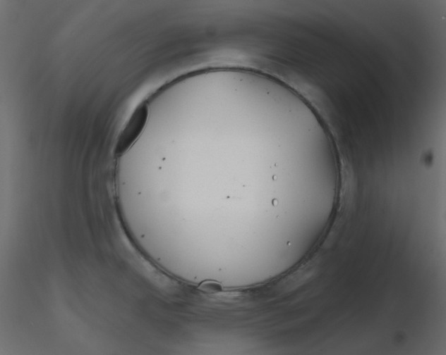 X0000115691342200912241453