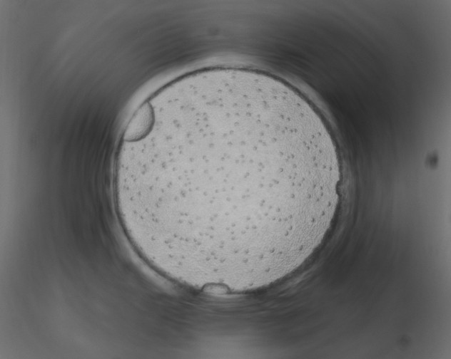 X0000115691343200912241453