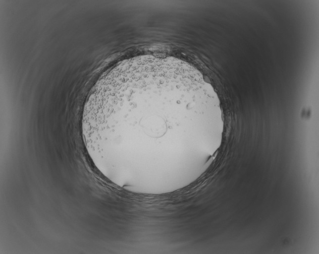 X0000115691345200912241453