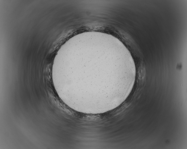 X0000115691346200912241453