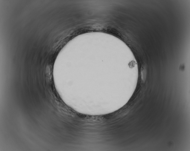 X0000115691347200912241453