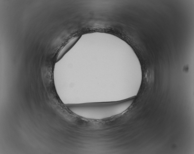 X0000115691348200912241453