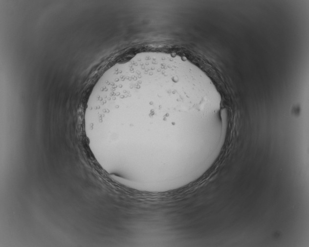 X0000115691349200912241453
