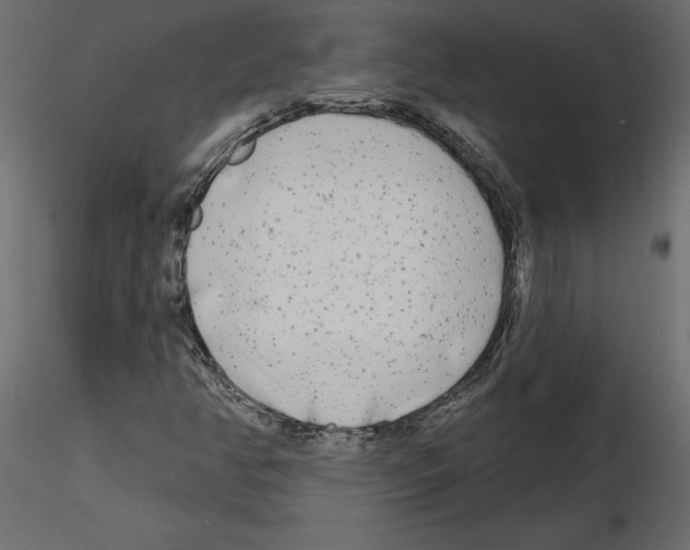 X0000115691350200912241453
