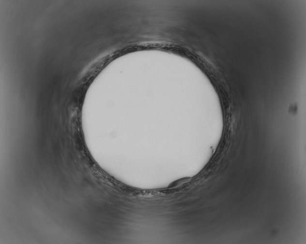 X0000115691351200912241453