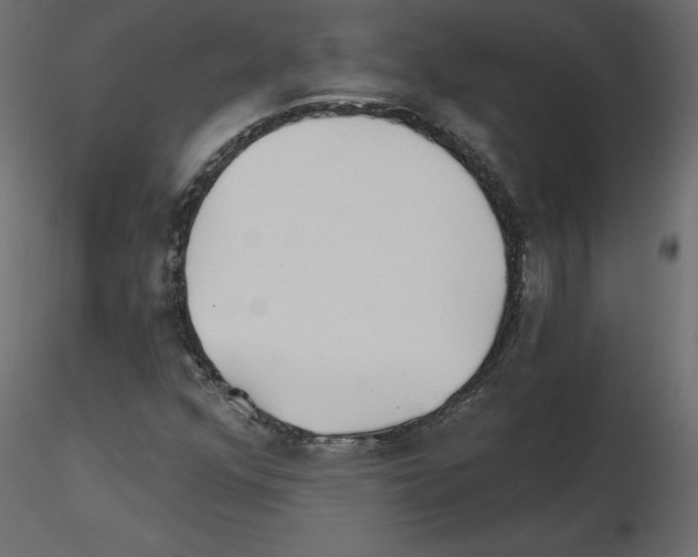 X0000115691352200912241453