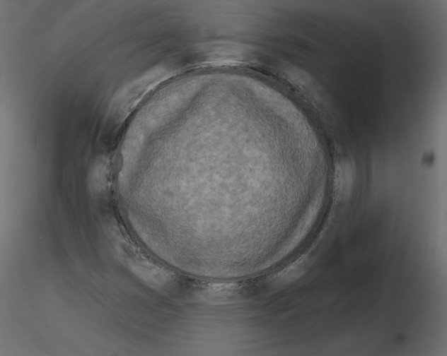 X0000115691353200912241453