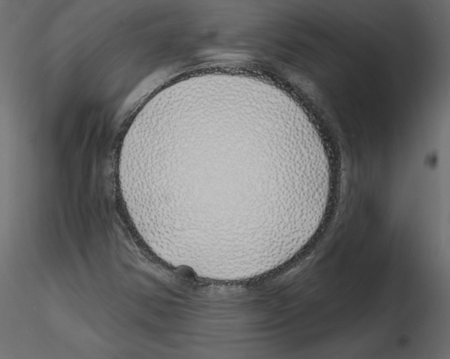 X0000115691354200912241453