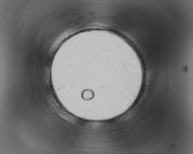 X0000115691355200912241453