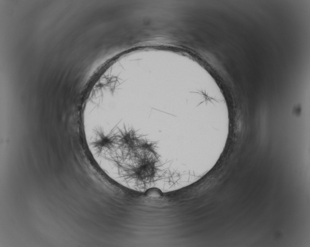 X0000115691356200912241453