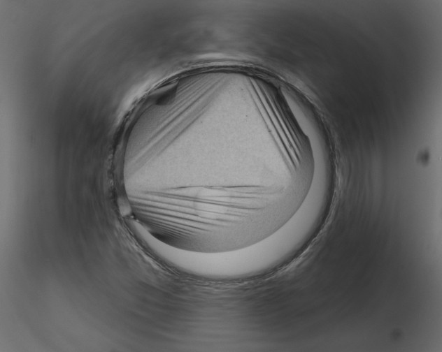 X0000115691357200912241453