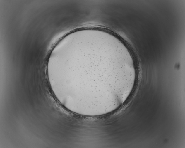 X0000115691358200912241453