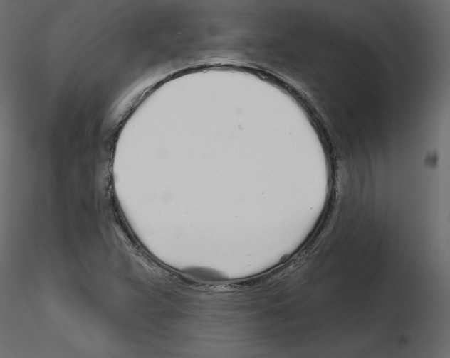 X0000115691359200912241453