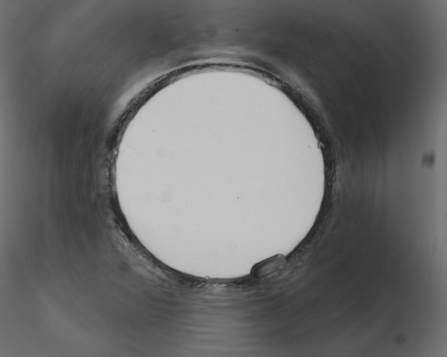 X0000115691360200912241453