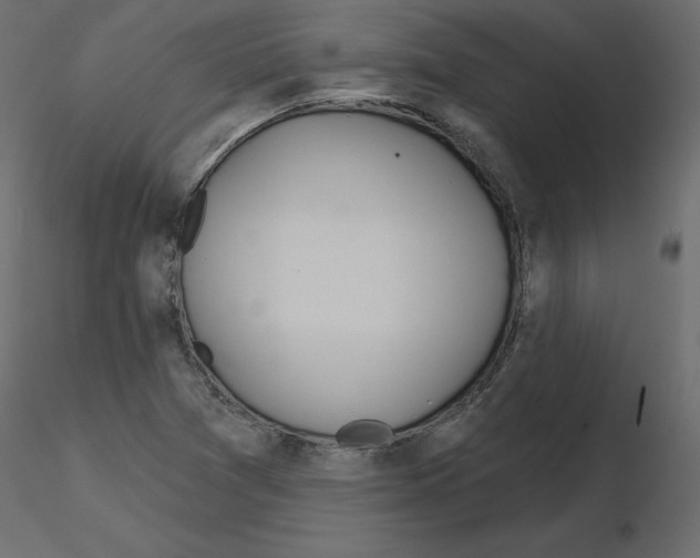 X0000115691361200912241453
