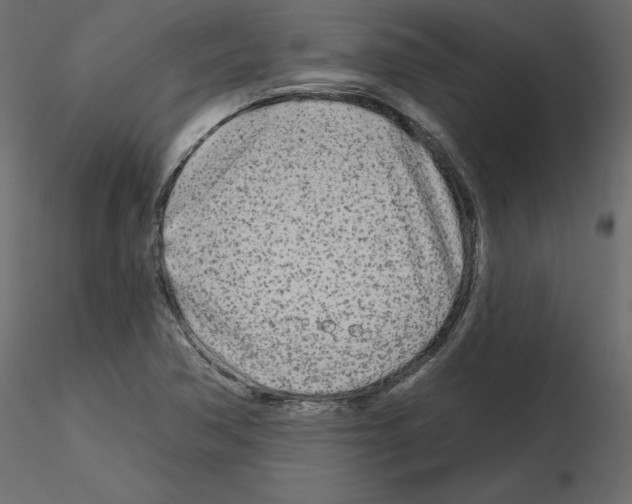 X0000115691362200912241453