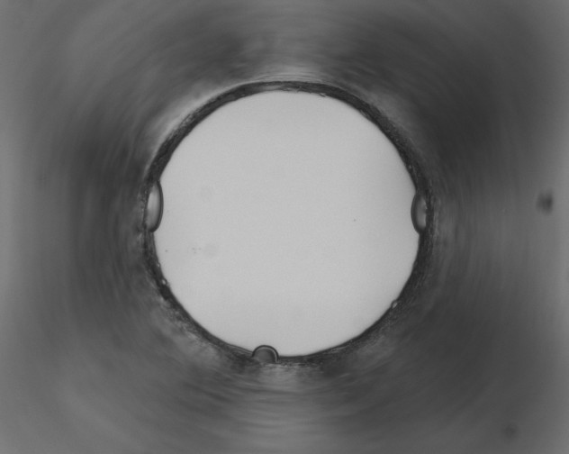 X0000115691364200912241453