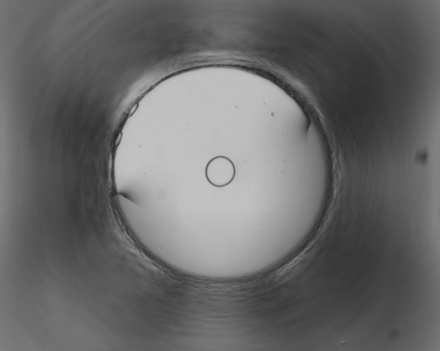 X0000115691365200912241453