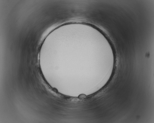 X0000115691366200912241453