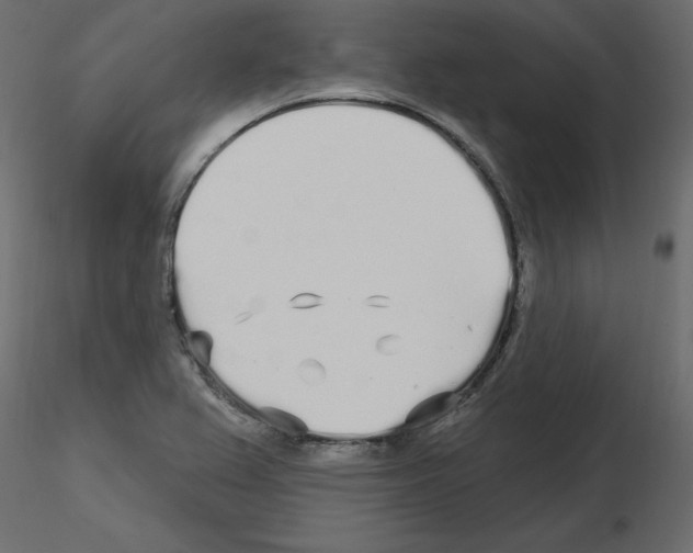 X0000115691367200912241453