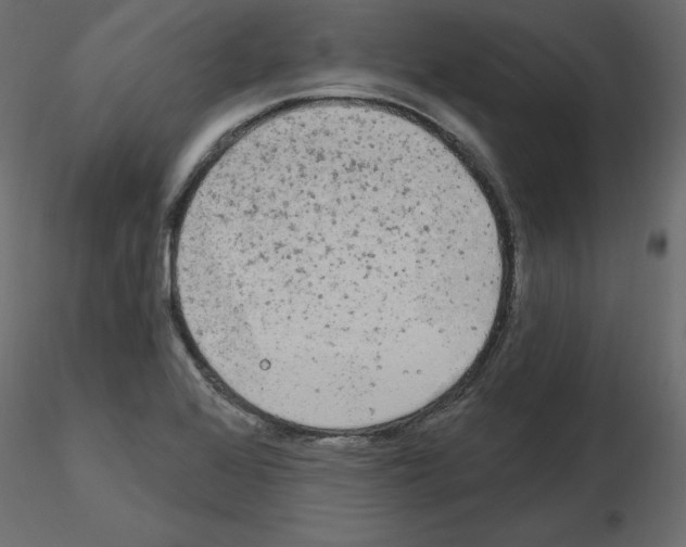 X0000115691368200912241453