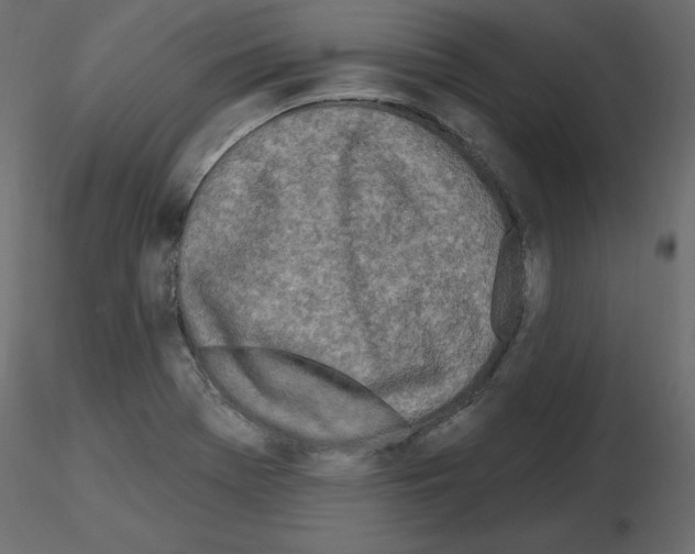 X0000115691369200912241452