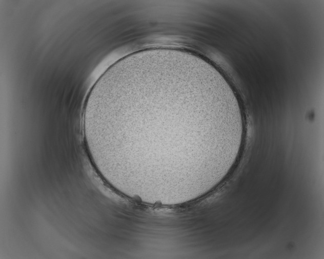 X0000115691370200912241452