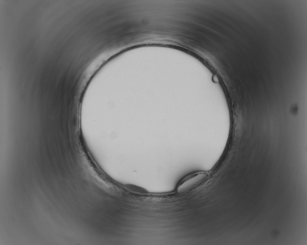 X0000115691371200912241452