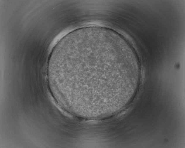 X0000115691373200912241452