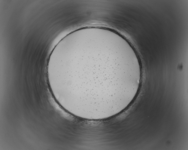 X0000115691374200912241452