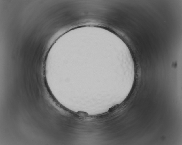 X0000115691375200912241452