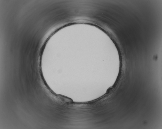 X0000115691376200912241452