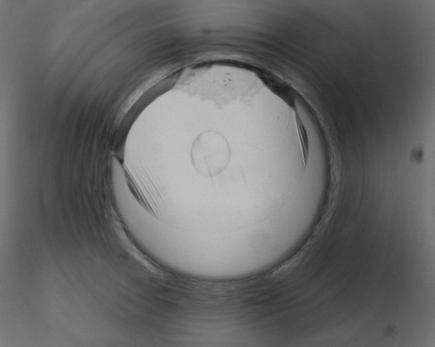 X0000115691377200912241452