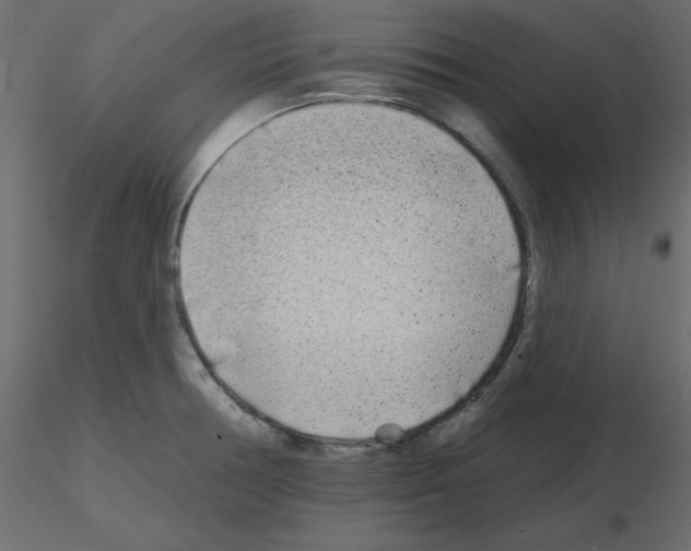 X0000115691378200912241452