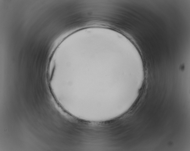 X0000115691379200912241452