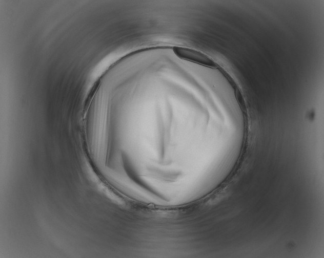 X0000115691381200912241452