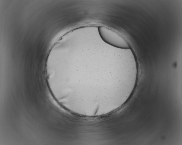 X0000115691382200912241452