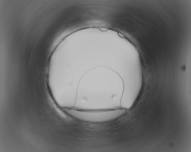 X0000115691383200912241452