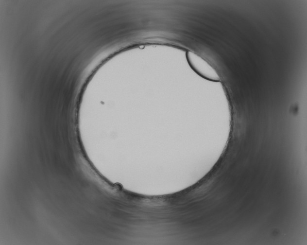 X0000115691384200912241452