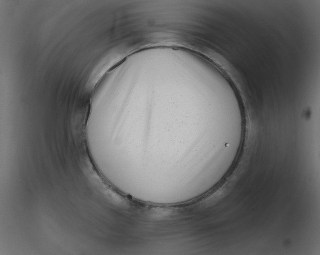 X0000115691385200912241452