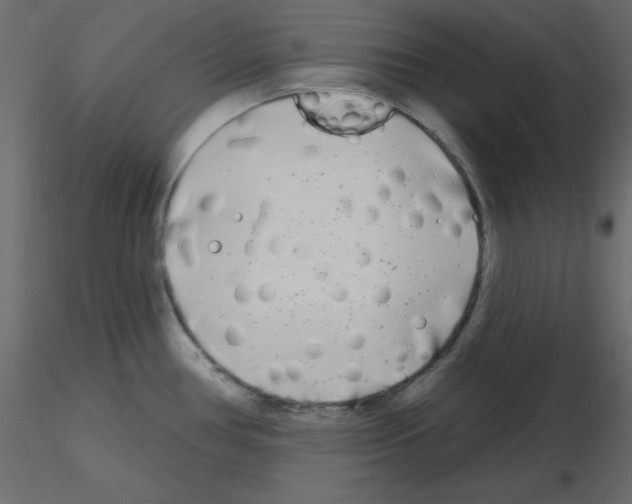 X0000115691386200912241452