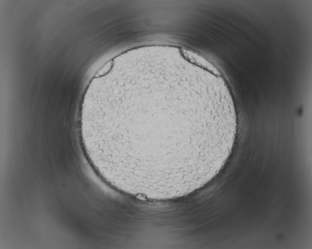 X0000115691387200912241452