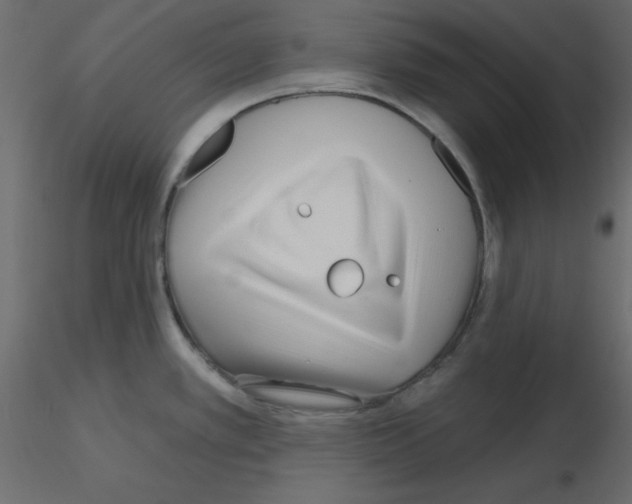 X0000115691389200912241452