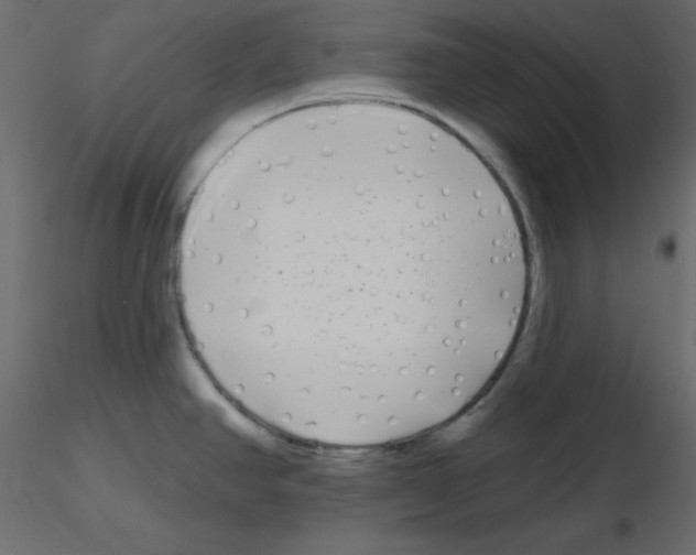 X0000115691390200912241452