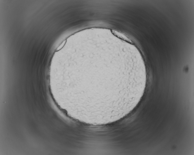 X0000115691391200912241452