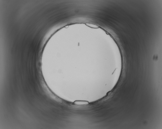 X0000115691392200912241452