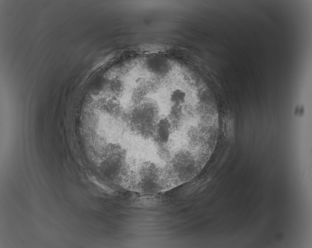 X0000115691393200912241452